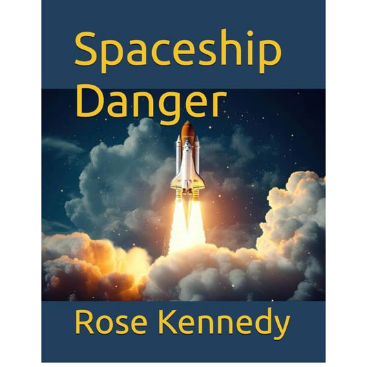 Spaceship Danger
